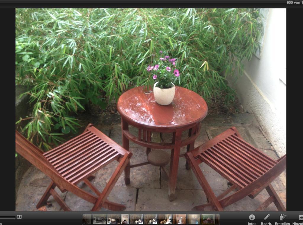 Apartmenthaus Saxonia Bad Schandau Oda fotoğraf
